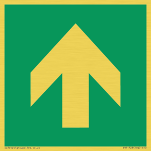 E907 Safe condition: Up / forwards arrow (90 deg supplimentary)